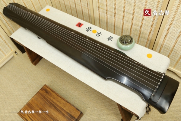桂林市初级演奏古琴【仲尼式】